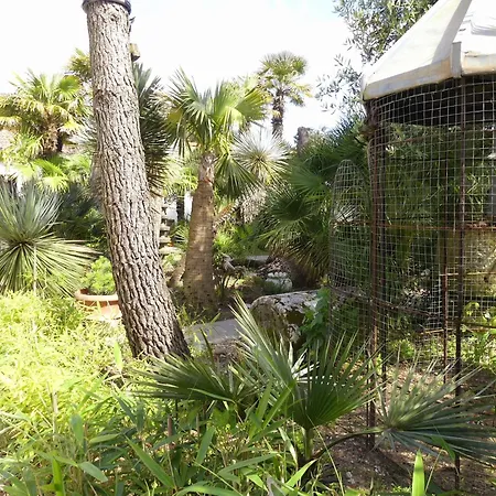 Les Palmes De Jade Saint-Brévin-les-Pins