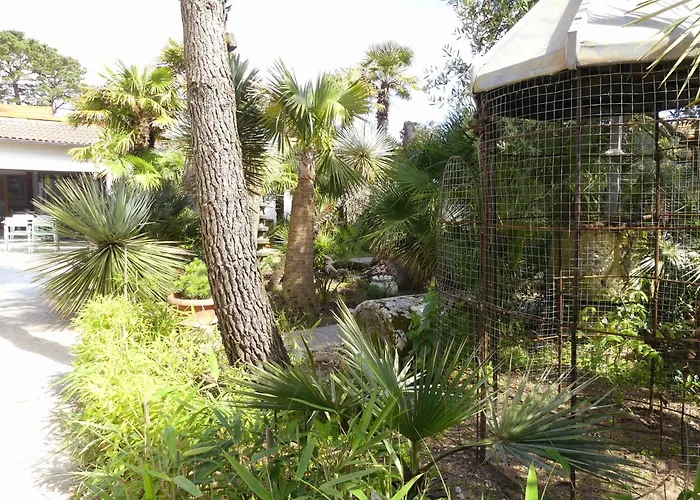 Les Palmes De Jade Saint-Brévin-les-Pins