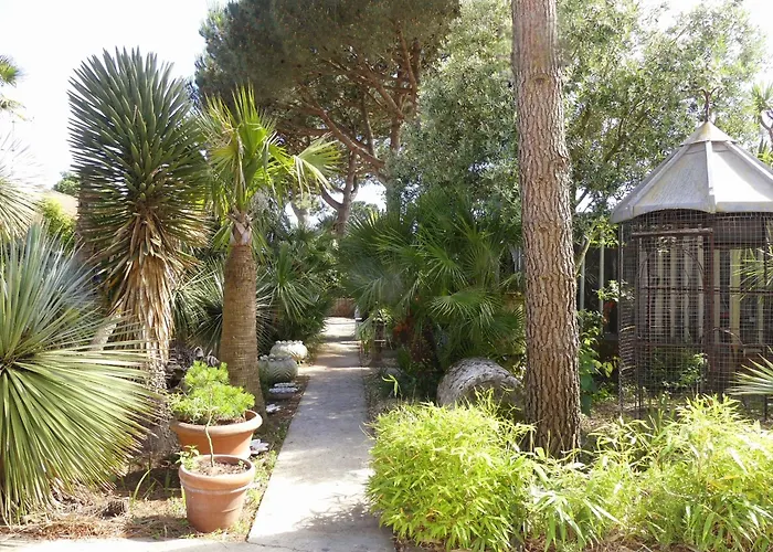 Les Palmes De Jade * Saint-Brévin-les-Pins