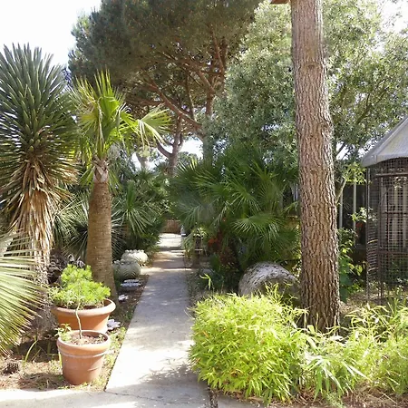 Les Palmes De Jade * Saint-Brévin-les-Pins